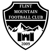 Flint Mountain logo